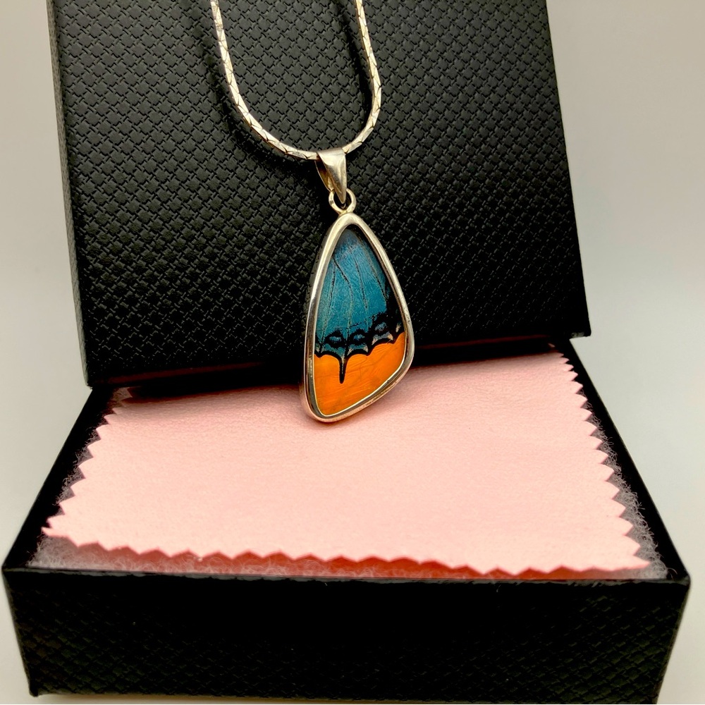 Silver Butterfly Wing Pendant and Chain